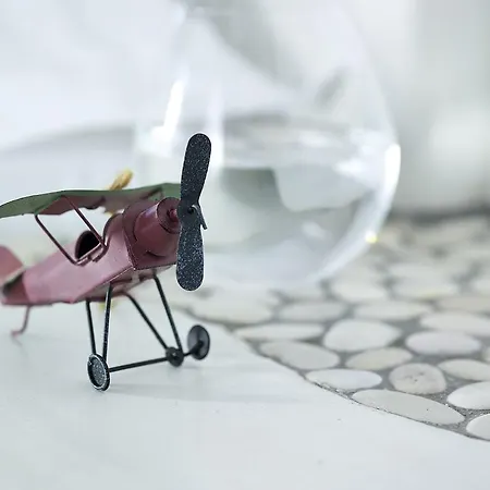 Garifalakis Comfort Pollonia